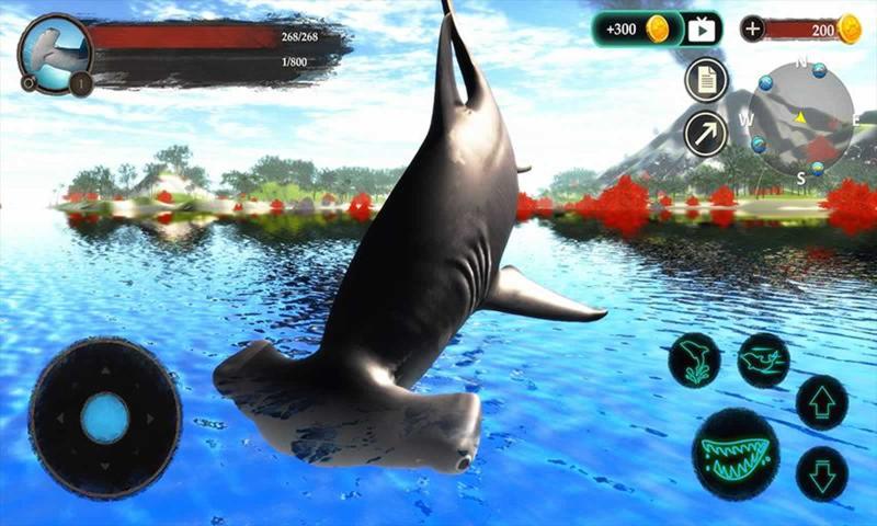 锤头鲨模拟器中文最新版免费金币图2: