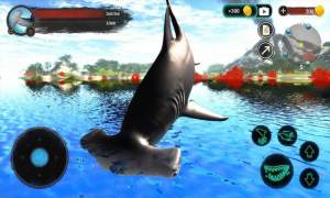 锤头鲨模拟器中文版图2