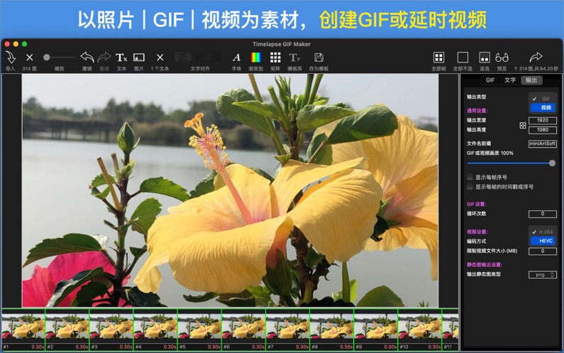 视频GIF动图互转器APP最新版图2: