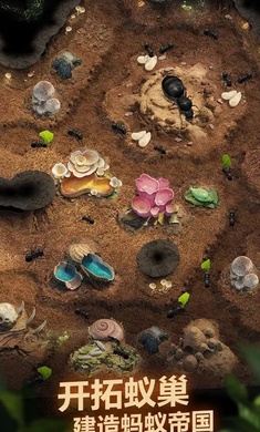 蚂蚁地下王国安卓最新版免谷歌图2: