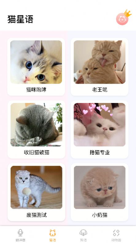 猫语翻译大师app安卓下载安装1