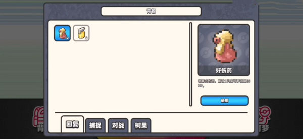 口袋妖怪DS内测精灵最新版游戏图3: