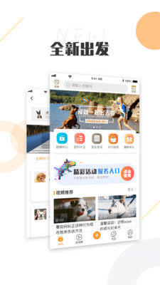 K9犬网app图3