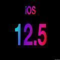 iOS12.5.4描述文件