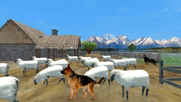牧羊犬动物3D游戏官方最新版截图3:
