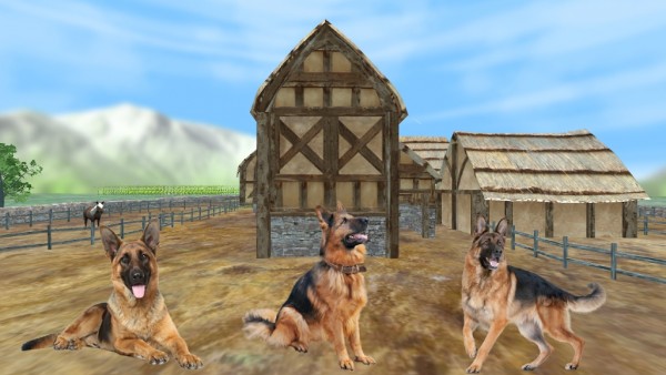 牧羊犬动物3D游戏官方最新版图1: