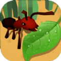 蚂蚁进化3d破解版无限资源最新版下载 v1.4