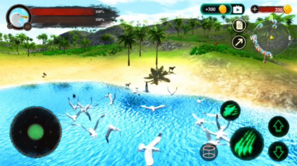 海鸥模拟器游戏安卓版手机版图2: