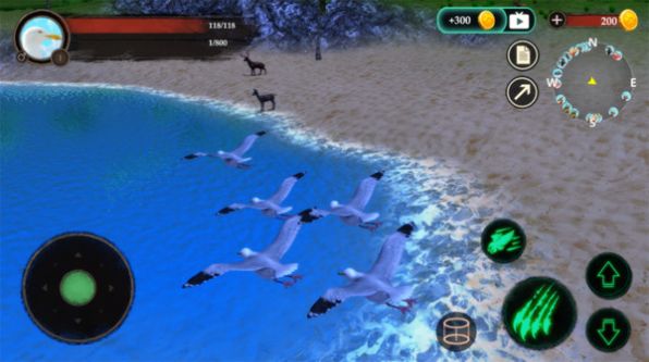 海鸥模拟器游戏安卓版手机版图3: