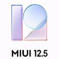 小米MIUI12.5 21.6.11开发内测版