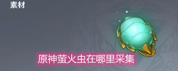 原神发光髓怎么采集（2021萤火虫发光髓采集路线图）