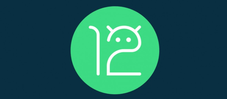 Android 12 Beta 2.1系统安装包正式版更新图3: