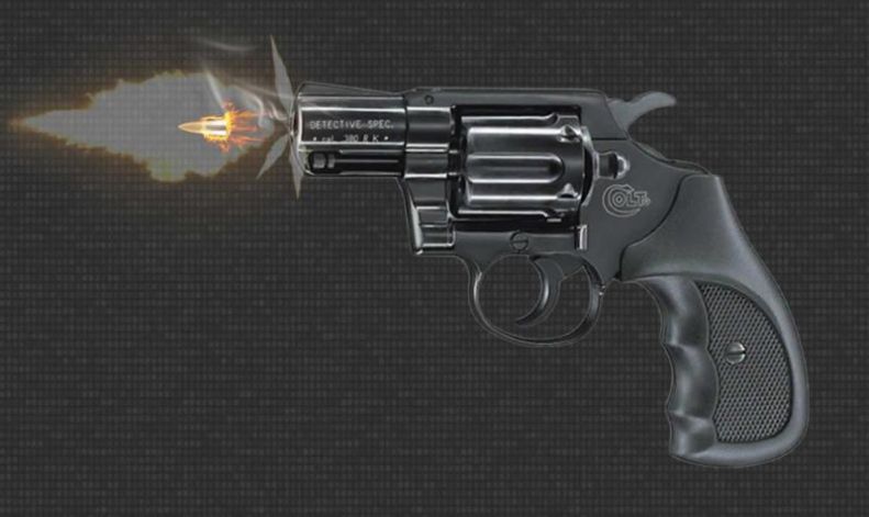 枪声枪模拟器游戏安卓版图3: