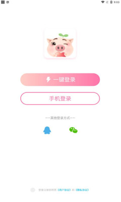 憨小猪交友软件手机版下载图2: