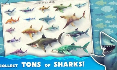 饥饿鲨世界国际服SharkJira无限珍珠最新版图片1