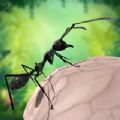 蚂蚁生存3D手机版