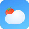 番茄天气预报app