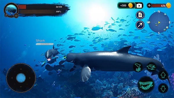 抹香鲸模拟器免费下载最新中文版图2: