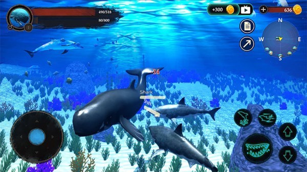抹香鲸模拟器免费下载最新中文版图3: