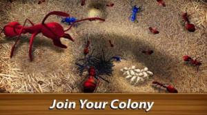 蚁族崛起神树之战游戏官方最新版图片1