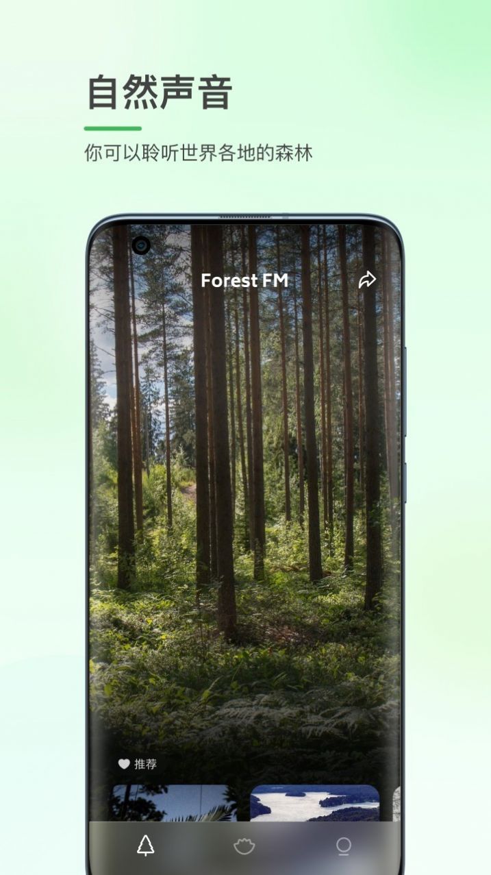 森林白噪音音频app官方版图1: