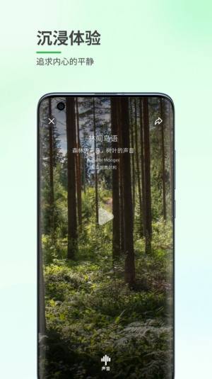 森林白噪音app图2