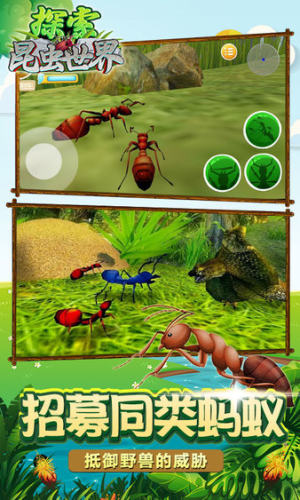 昆虫世界生存指南游戏官方版图片1