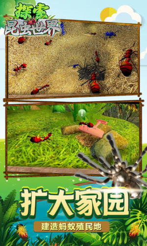昆虫世界生存指南游戏图1