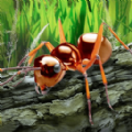 昆虫世界生存指南3dm汉化联机版