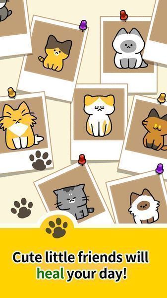 Cat Kindergarten游戏安卓版中文版图4: