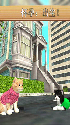 小猫咪模拟器多人游戏中文版图片1