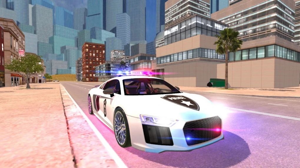 R8警察模拟器2021游戏中文版图3: