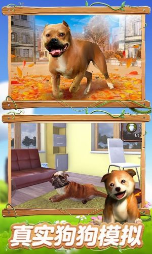 真实狗狗模拟器游戏图2