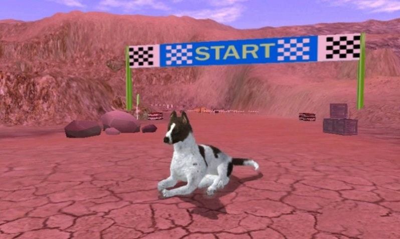 狂犬模拟器游戏安卓版图3:
