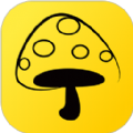 蘑菇钉4.1版本