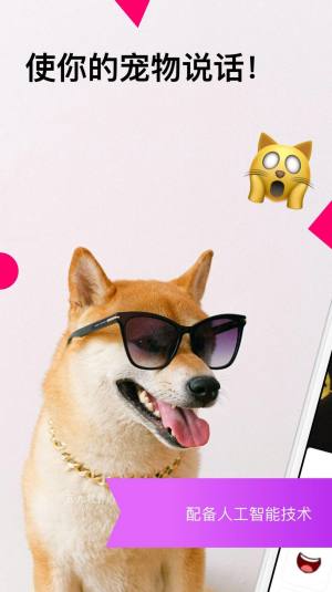 宠物说话的滤镜和贴纸app图1
