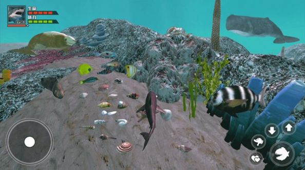 海底大求生游戏最新安卓版截图3: