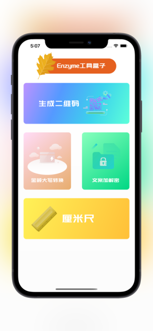 Enzyme工具盒子app图4