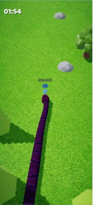 蟒蛇拉什游戏官方版图片1