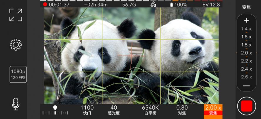 promovie专业摄像机安卓app下载图2: