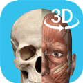 人体解剖app