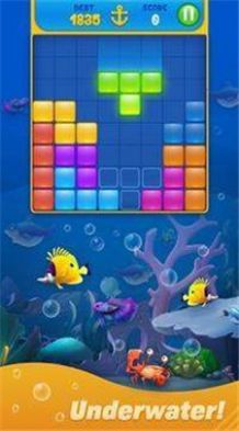 小鱼分类拼图游戏安卓版（FishSort Puzzle）图1: