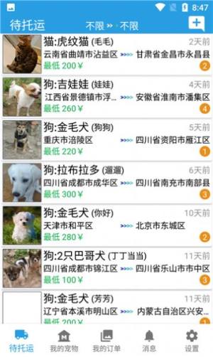 宠物运输app图1