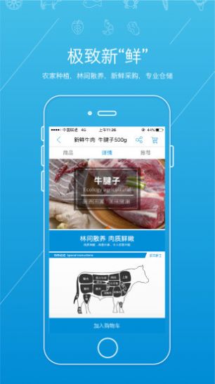虾笨鲜生购物app手机最新版图2: