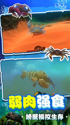 螃蟹生存模拟器游戏中文版图片1