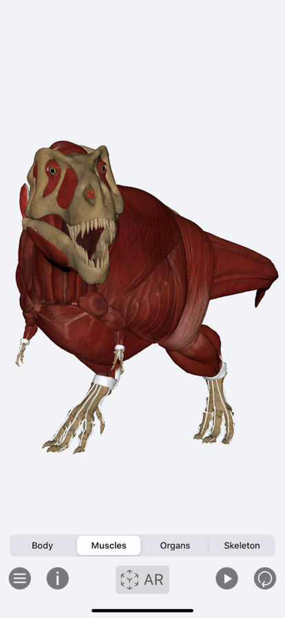 World of Dinosaurs AR恐龙世界软件最新版图5: