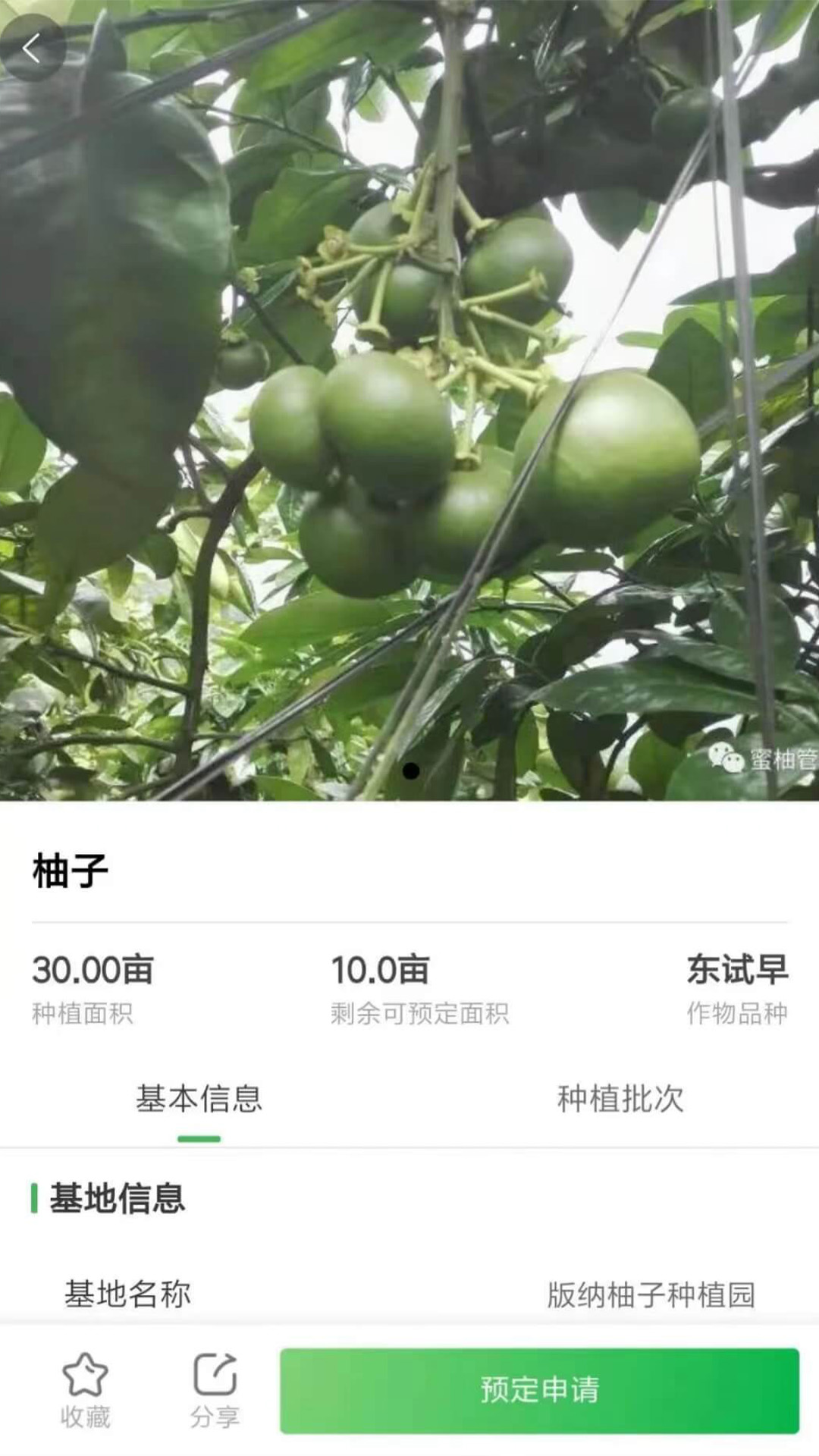 智云优选农产品电商app官方版图3: