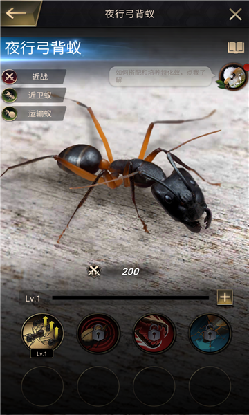开局一只蚁手游官方安卓版图1: