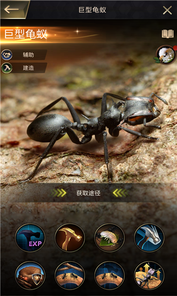开局一只蚁手游官方安卓版图3: