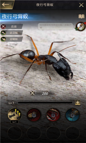 小小蚁国蚂蚁向前冲游戏图3